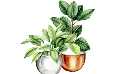 Watercolor Plant, Practical Life Activities
